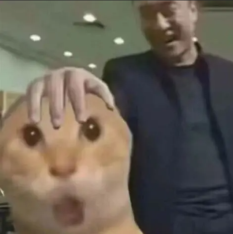 《星际裂变》创新生存元素与物流系统引争议