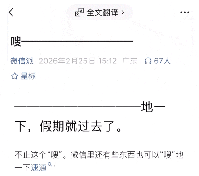 微信通话隐身功能全攻略｜语音翻译与视频锁定实用指南